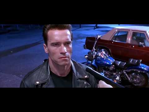 The Terminator - Fat Boy - Harley-Davidson motorcycle