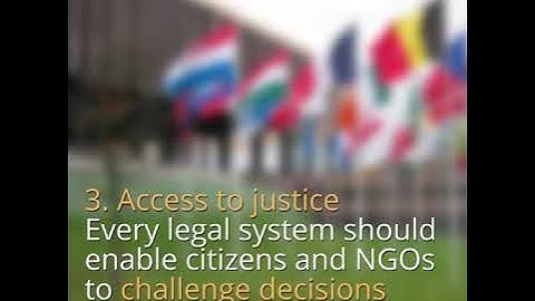 The Aarhus convention