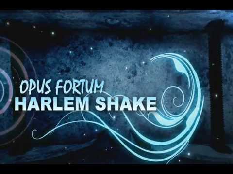 HARLEM SHAKE OPUS FORTUM (VIDEO ORIGINAL)