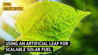 Using An Artificial Leaf For Scalable Solar Fuel