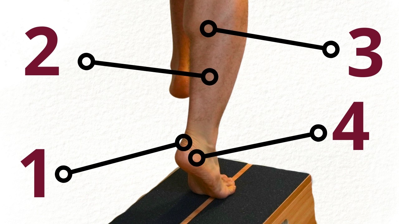 4 основных принципа эффективной реабилитации ахиллова сухожилия