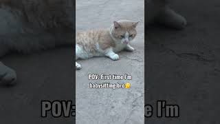 First time  🐈🐾😬