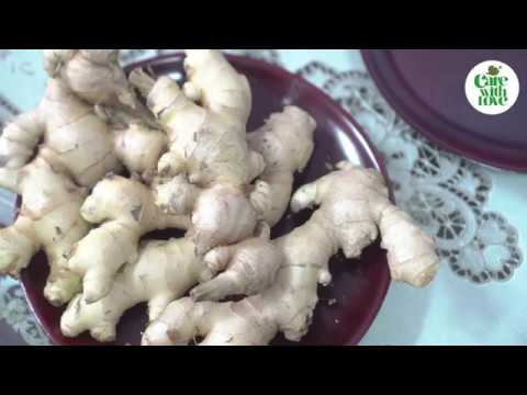 Video Công thức làm rượu gừng giúp GIẢM MỠ BỤNG sau sinh... - youtube