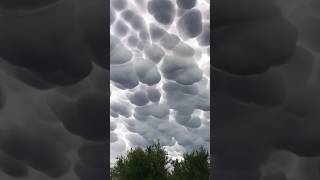 Bagaimana Awan Bisa Terbentuk? #cloud #FaktaAwan #shortsindonesia