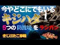 【きじはたこ】アコウはどこにいる?気になる場所をランガンします【地球遊び290】