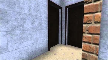 Final Video - Wei Zhang