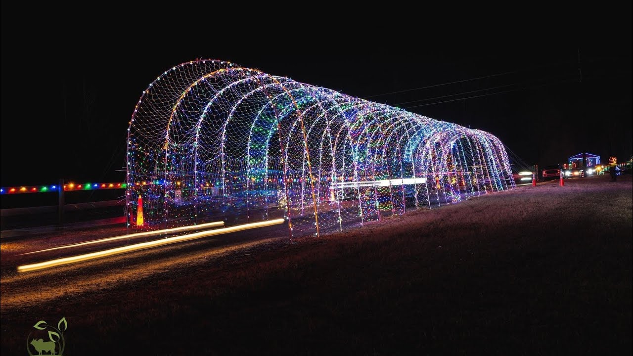 festival-of-lights-highlights-youtube