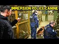 Immersion police canine  48 heures de travail ft policenationaleofficiel