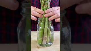 Kitchen Hack: How to Store Asparagus so they Stay Fresher for Longer