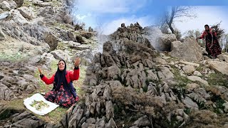 Farideh's new adventure in the highlands, discovering plants