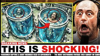 Fishermen Capture a GIANT Mermaid Used in Experiments — The MOST DISTURBING Footage Caught on Camera