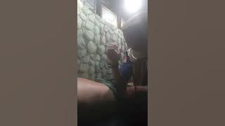 Pijat vitalitas joni loyo,cepat muntah WA.08179879156