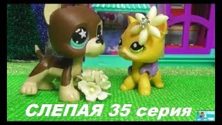 LPS: Слепая 35 серия LPS: Слепая 35 серия