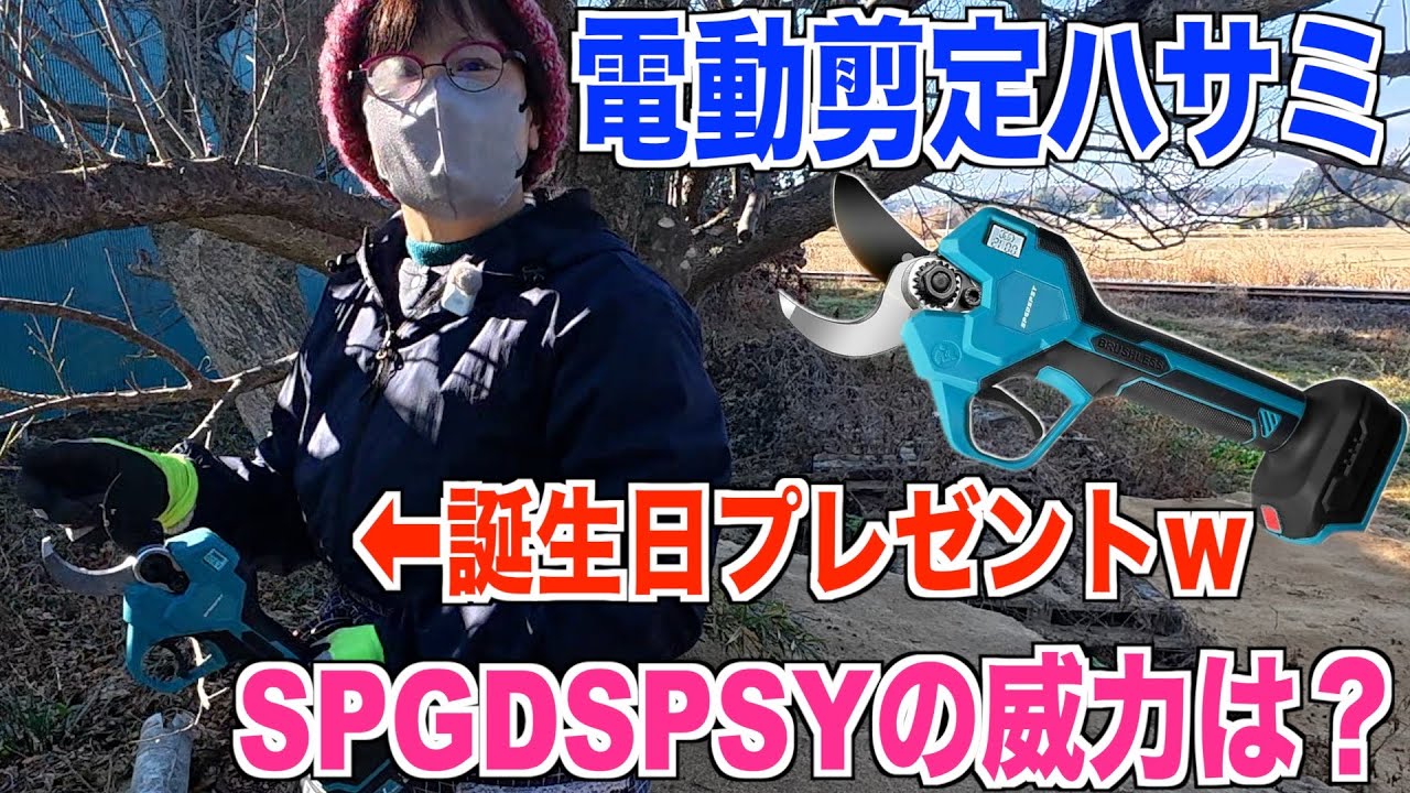 New Model] Electric Pruning Shears are So Convenient! SPGDSPSY 