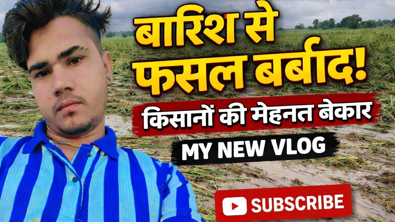 एक रात की बारिश ने सब बर्बाद कर दिया 😭 | किसानों की मेहनत बेकार | My villege