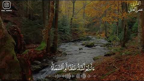 القارئ عمر العاني
