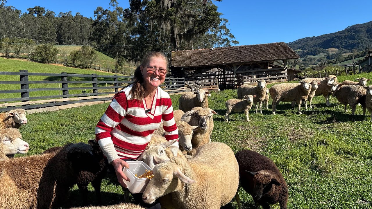 EU CRIEI 3 FILHOS NA ROÇA- DONA MARIA LEOBERTO LEAL SC