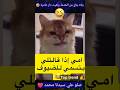 جيتي من الخدمة ولقيتي دار عامرة ترند ترند مغربي    محتوى رائج قطط مضحك