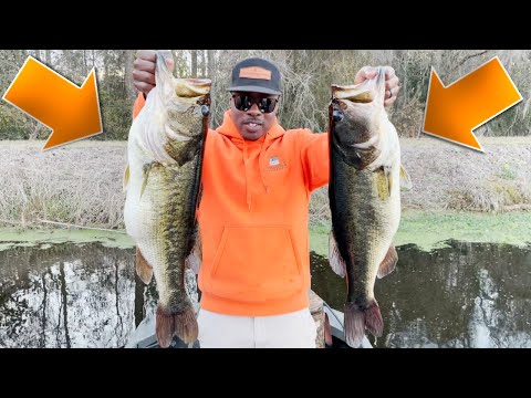 BIG BASS VIDEOS 5 POUNDS OR BETTER! 