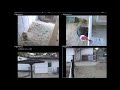 五月山動物園ウォンバットてれび ライブカメラ Wombat Live Stream