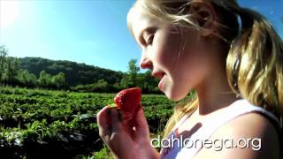 Welcome to Dahlonega