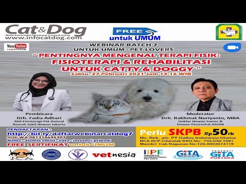 WEBINAR MAJALAH CAT&DOG KE-7  "MENGENAL TERAPI FISIK: FISIOTERAPI PADA CATTY & DOGGY"