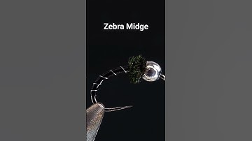 Zebra Midge #flytying