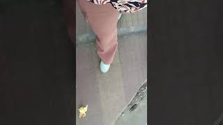 trend #youtubeshorts #love #trending #viral