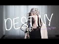 【Tiara】 DESTINY / My Little Lover (cover)