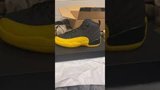 yellow and black jordan 12 grade school