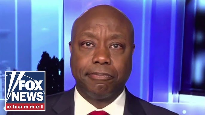 Tim Scott Mayorkas Is Guilty Of The Greatest Invasion In American History