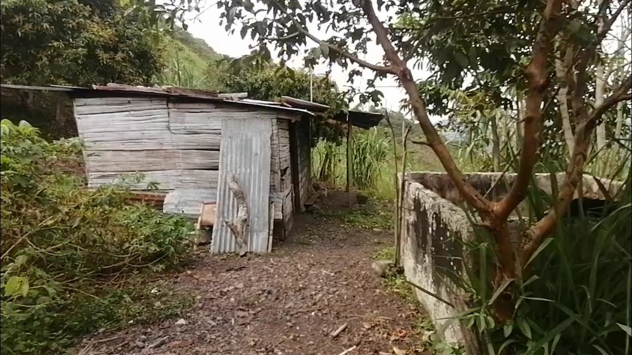 🟢💰$97Mill.. VIANI Cund. UNA HECTÁREA (3194679106)