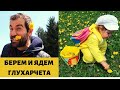 БЕРЕМ И ЯДЕМ ГЛУХАРЧЕТА| ЕЛЕКСИР ЗА ДЪЛГОЛЕТИЕ|ДЪГА |КЪДЕ Е ГЕОГРАФСКИЯ ЦЕНТЪР НА БЪЛГАРИЯ? УЗАНА #2