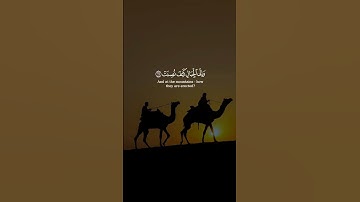 أفلا ينظرون إلى الإبل كيف خلقت || سورة غاشية || القارئ: رعد الكردي