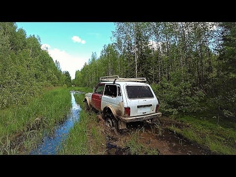 “ЖЕСТОКАЯ” ЭКСПЕДИЦИЯ! ЗИМНИК.. БОЛОТА.. ОДИН ПРОБИРАЮСЬ В ИСЧЕЗНУВШЕЮ СТАРИННУЮ ДЕРЕВНЮ!
