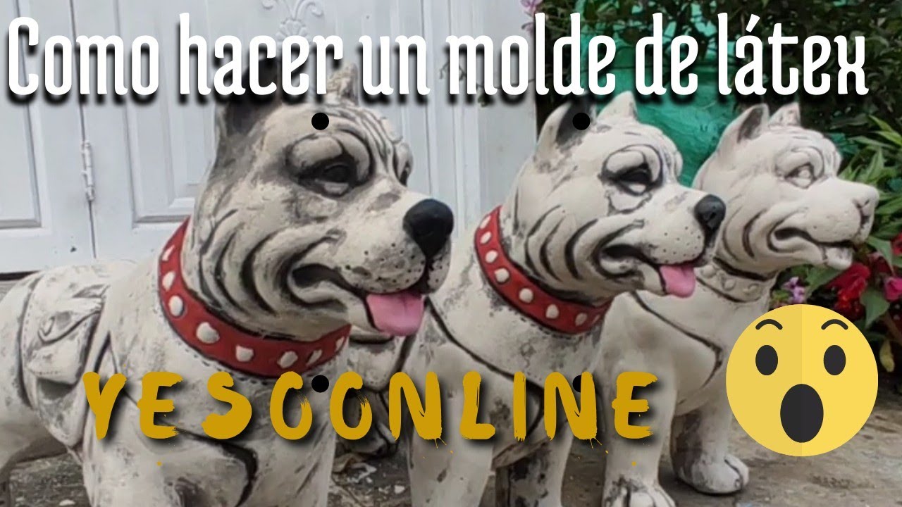 como hacer un molde de látex paso a paso de un  Pitbull