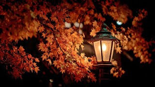 10시간 잔잔한 수면음악 모음「가을의 밤」🎵 불면증음악, 스트레스해소음악, 힐링음악 모음