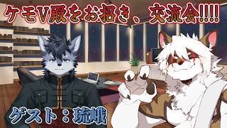【雑談コラボ配信】　ケモV交流会！#58 【アレス/琉峨】
