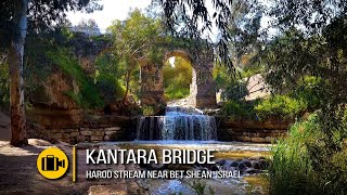 Ручей Харод и мост Кантара, Бейт-Шеан, Израиль / Harod Stream and Kantara Bridge, Beth Shean, Israel