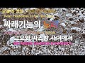 싸래기눈의 노래 | 겨울, 고요와 따스함 사이에 | 마음 치유 명상 | A Song of Soft Winter Snow | Between Silence and Warmth