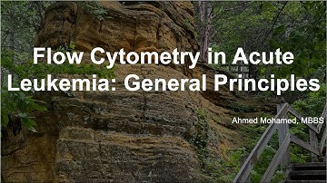 Understanding Flow Cytometry in Acute Leukemia: The Blast Gate