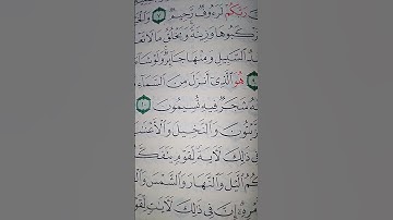 ما معنى كلمه "تسيمون"#سورة #النحل