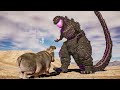 Shin Godzilla vs Giant Hippo
