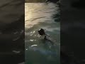 Git out the water 💧