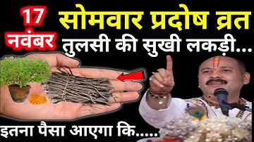17 नवंबर सोमवार प्रदोष व्रत को तुलसी के सूखी लकड़ी वाला उपाय जरूर करे || प्रदीप जी मिश्रा #सोमवार