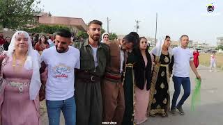 Şırnak Silopi Düğünleri Emin Ülker Düğünü Part 4 Ülker Ailesinin Düğünü  Koma Musa Silopi