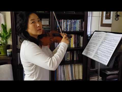Applebaum Volume 3 #25 Play Along - Beautiful Music for Two String Instruments (Two Violins)