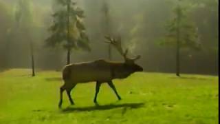 Lee Horsley - Society of American Foresters 2000