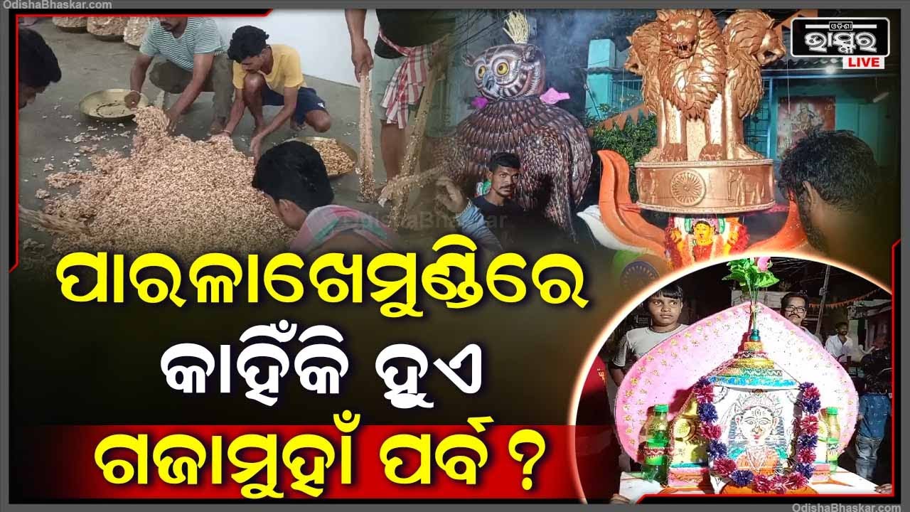 ଧୂମଧାମରେ ପାଳିତ ହେଉଛି ପାରଳାଖେମୁଣ୍ଡିରେ ଗଜାମୁହାଁ ପର୍ବ। ହେଲେ କାହିଁକି ପାଳନ ହୁଏ ଏହି ପର୍ବ ?