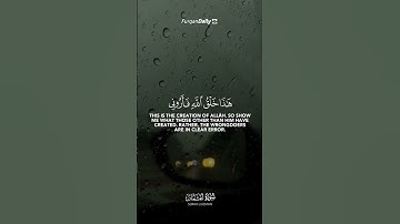 "هذا خلق الله فأروني ماذا خلق الذين من دونه" سورة لقمان SURAH LUQMAN #عبدالولي_الاركاني